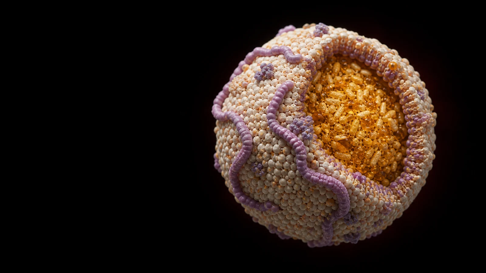 A cross-section render of an LDL lipoprotein particle, its golden cholesterol core exposed beneath a pebbled protein shell, on black.
