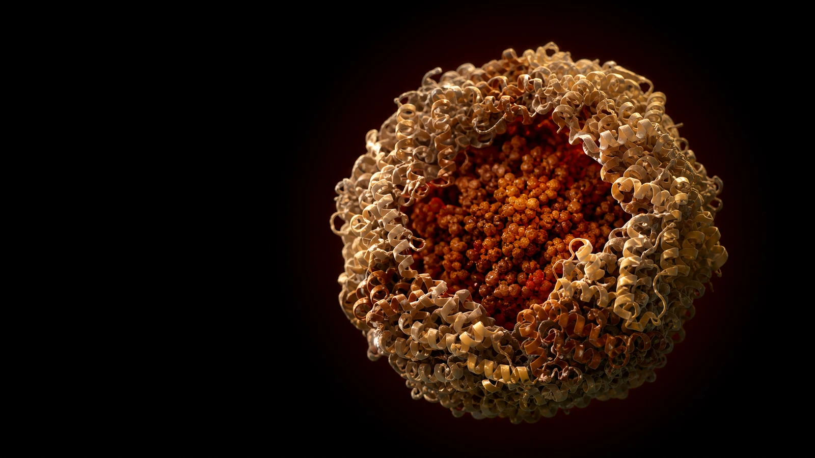 A ferritin protein cage cut open to reveal a rust-orange iron core, rendered against black.